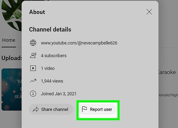 can you remove subscribers on youtube