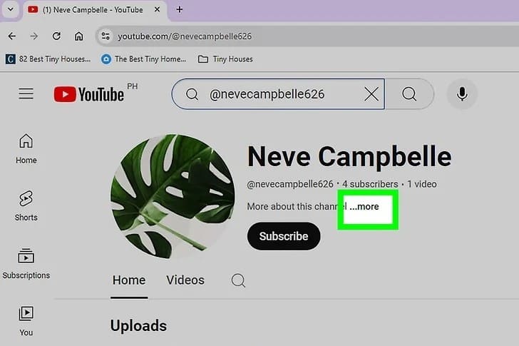 can you remove subscribers on youtube