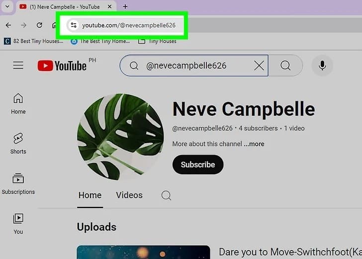 can you remove subscribers on youtube