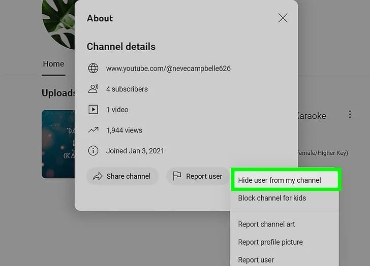 can you remove subscribers on youtube