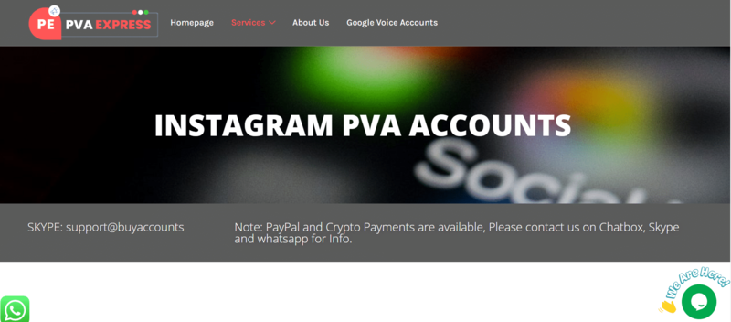 buy Instagram PVA Accounts