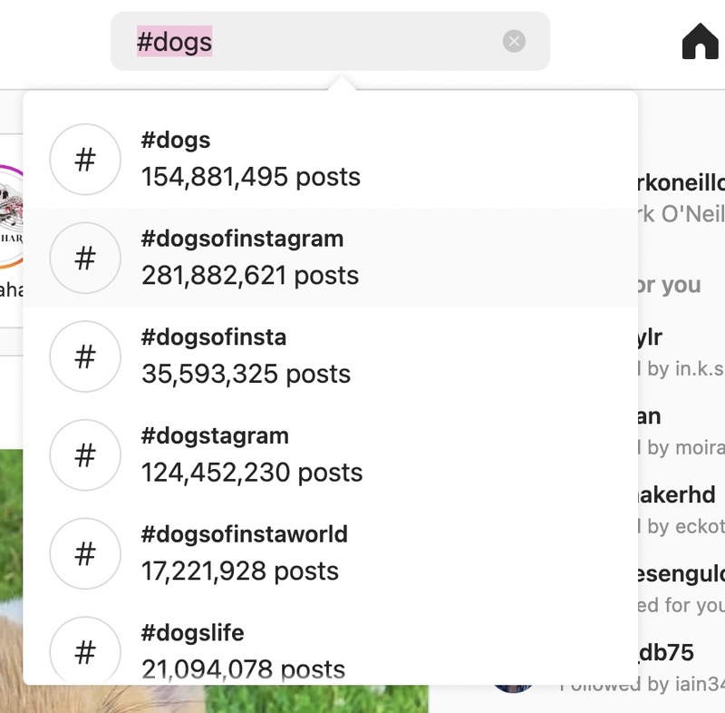 instagram-hashtags